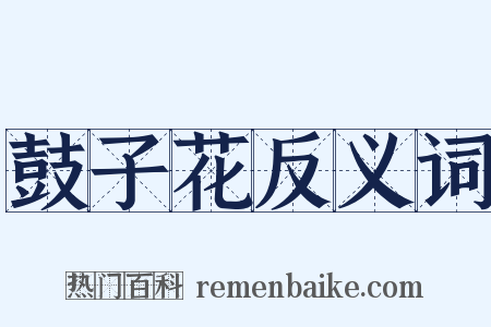 鼓子花反义词是什么意思的图片